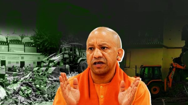 yogi bulldozer